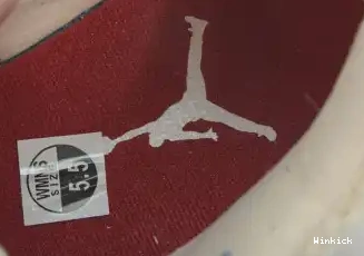 The  DH0572-264 Air "Where Wild 4 Things Jordan Are" 0328